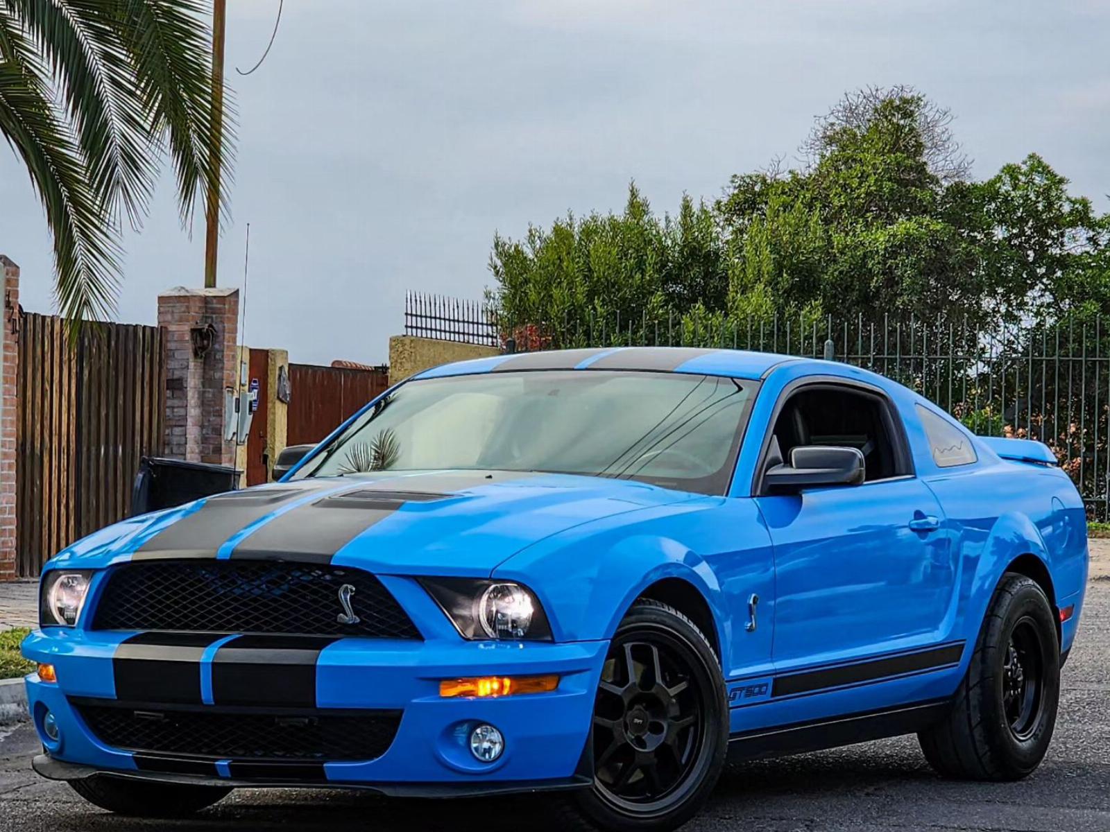 FORD MUSTANG Shelby GT 500 2008  - 