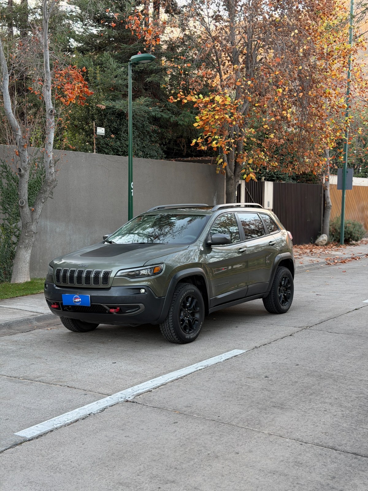 JEEP CHEROKEE Trailhawk 4WD 2019 - FULL MOTOR