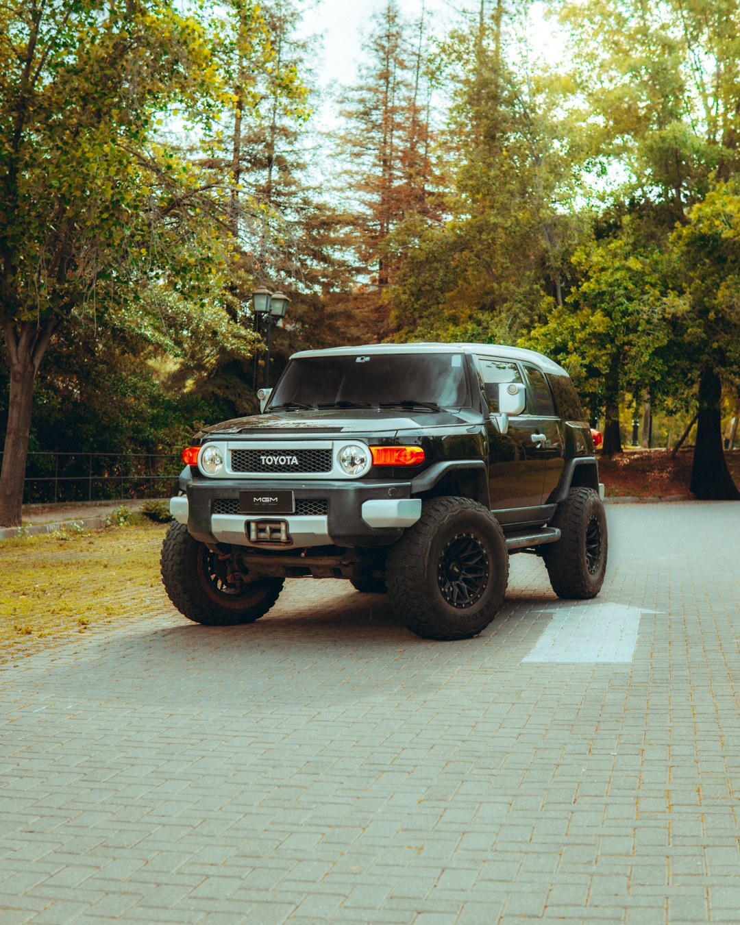TOYOTA FJ CRUISER 2013 OFF-ROAD - FULL MOTOR