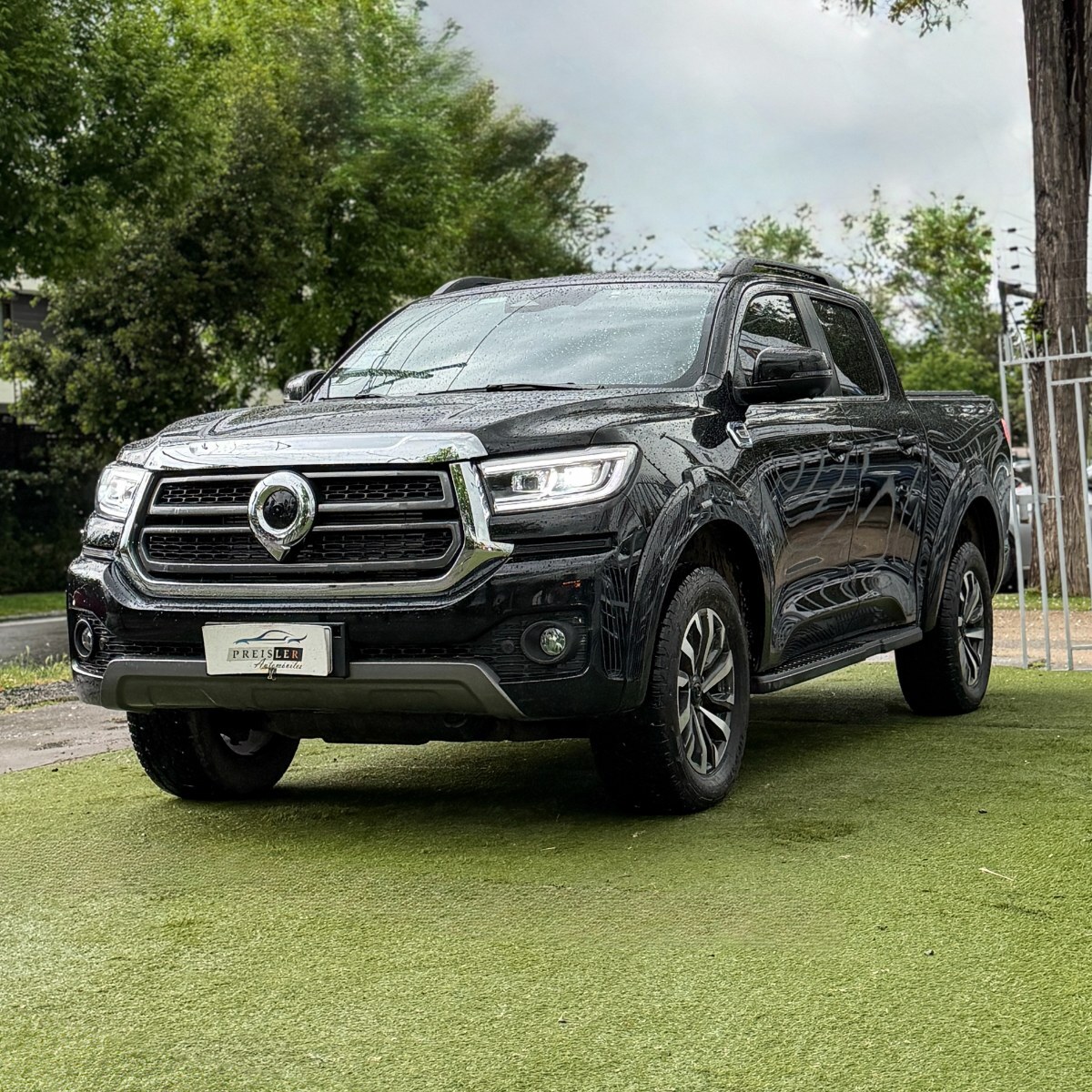 Great Wall Poer Plus 2.4 Deluxe — foto 3 de 30