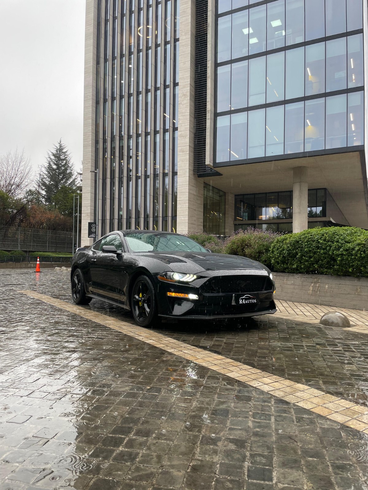 FORD MUSTANG GT 2021 Fifty five years - FULL MOTOR