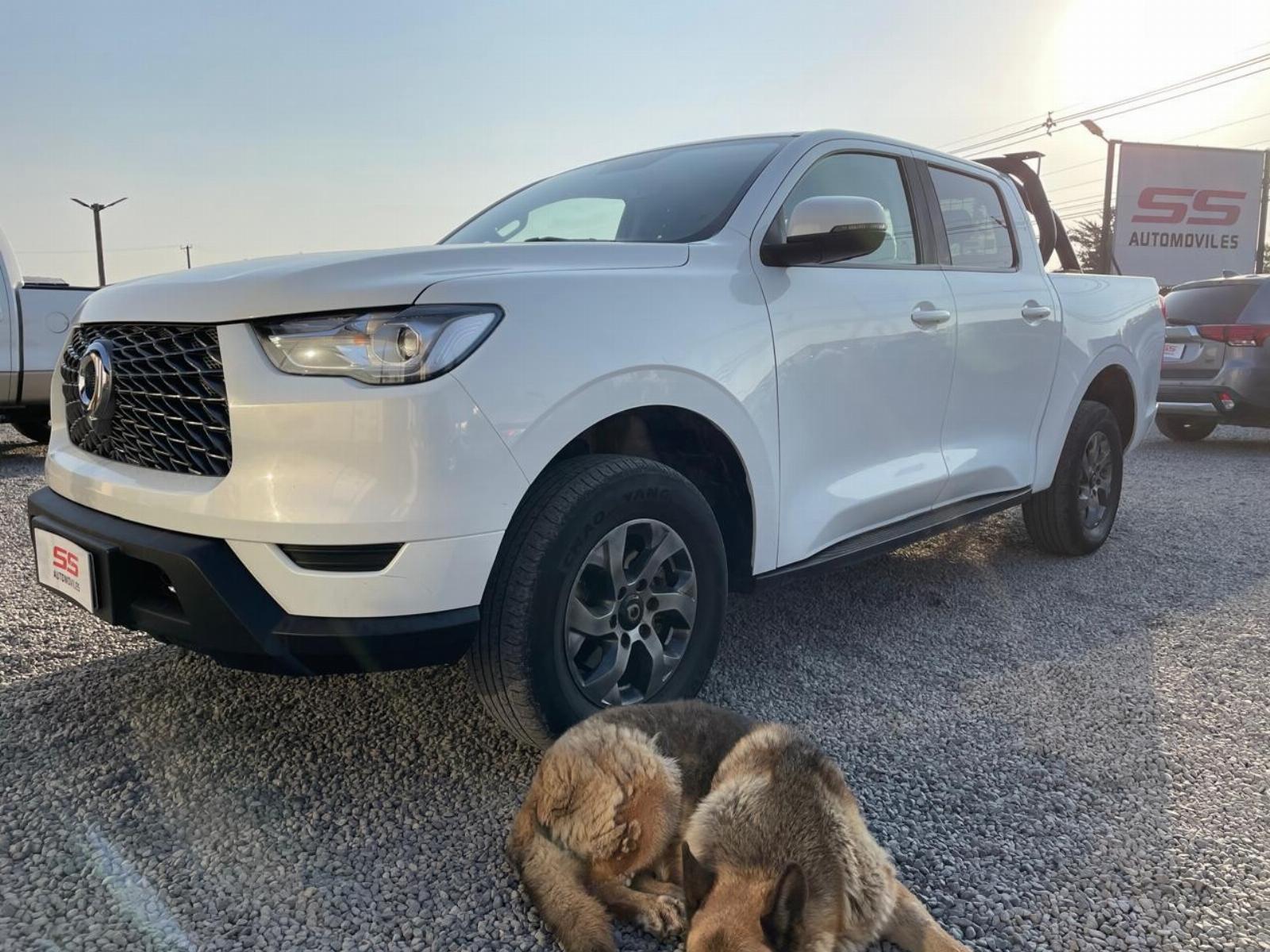 GREAT WALL POER Poer 2.0TD MT6 4X4 Elite 2023 Great Wall Poer - FULL MOTOR